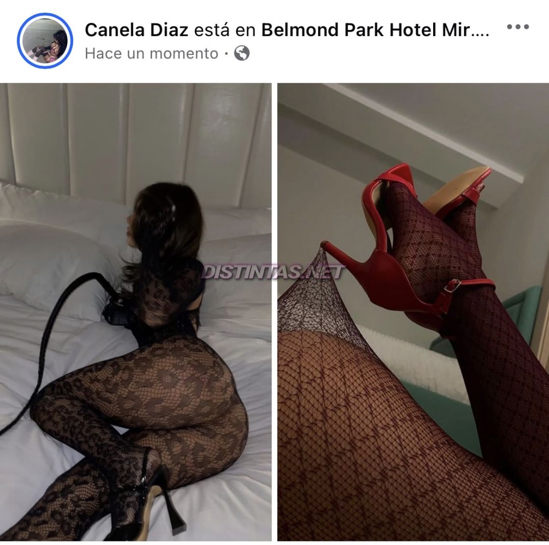 Canela Vip