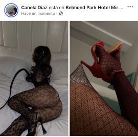 Canela Vip