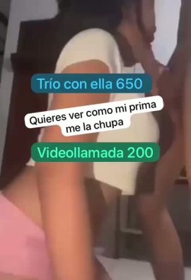 Canela Vip