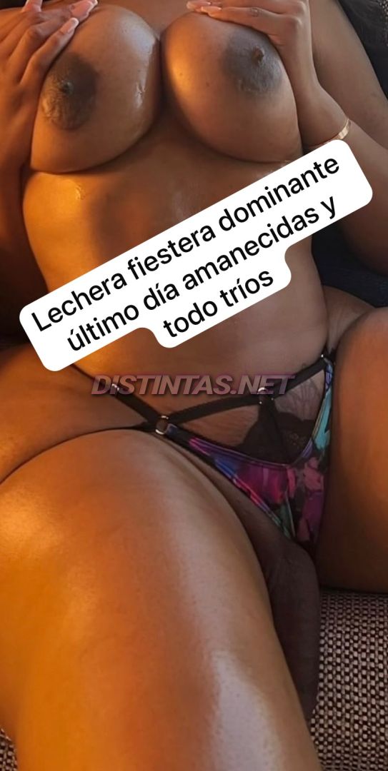 Canela Vip