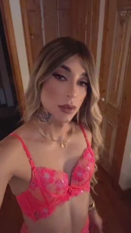 Sophia Star 