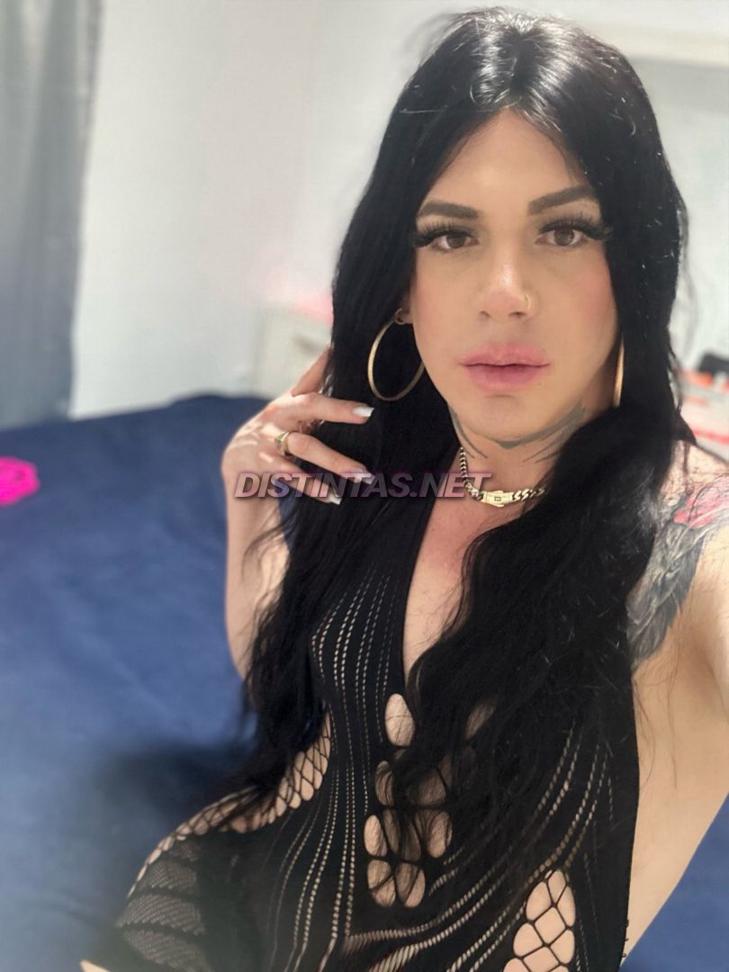 Dani Fernandez