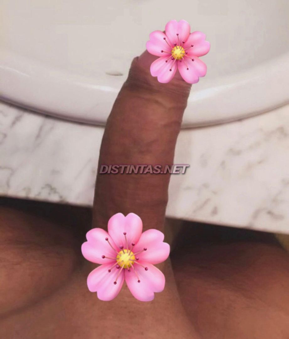 Allana da Cappa