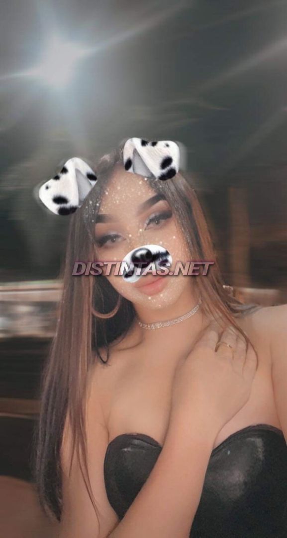 Danae Camel