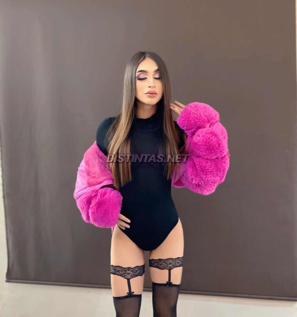 Danae Camel