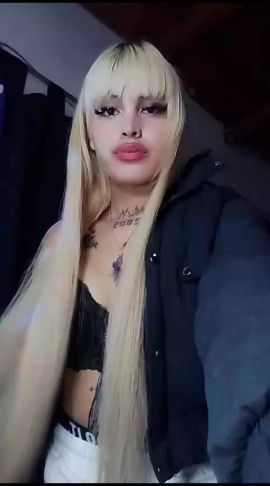 Brisa 21