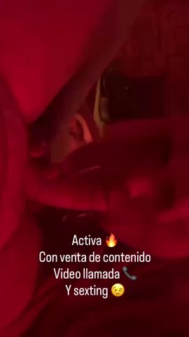 Brisa 21