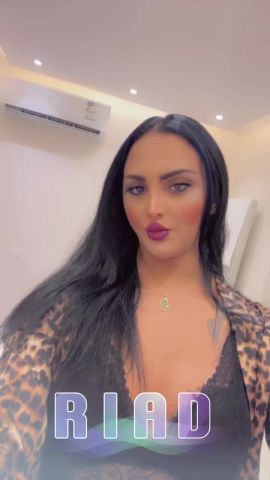 Hayfa 