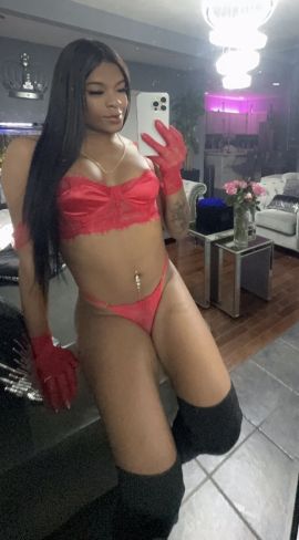 Shenoa Latina