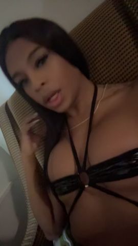 Shenoa Latina