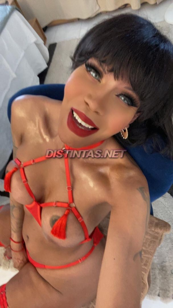 Morena Transex