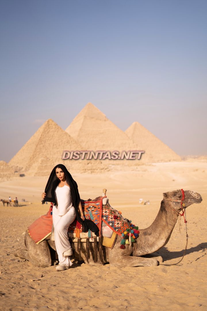 Ariana XXL