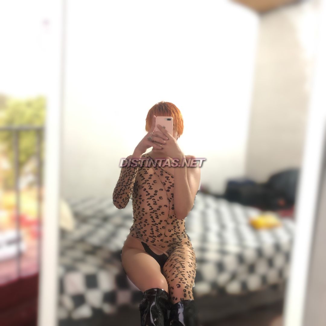 Ale B