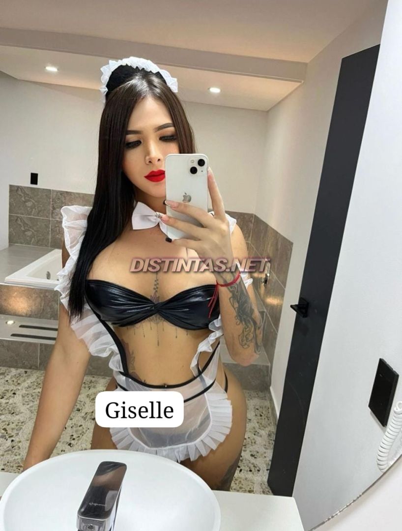 New Gisell Torres