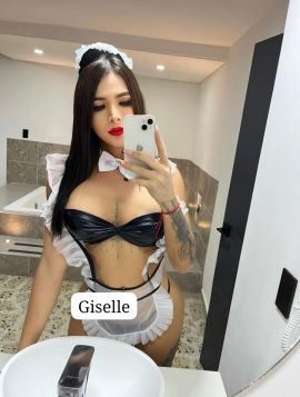 New Gisell Torres