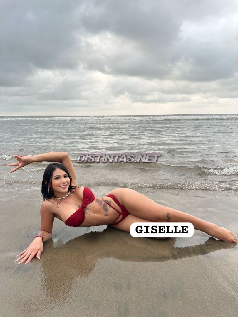 New Gisell Torres