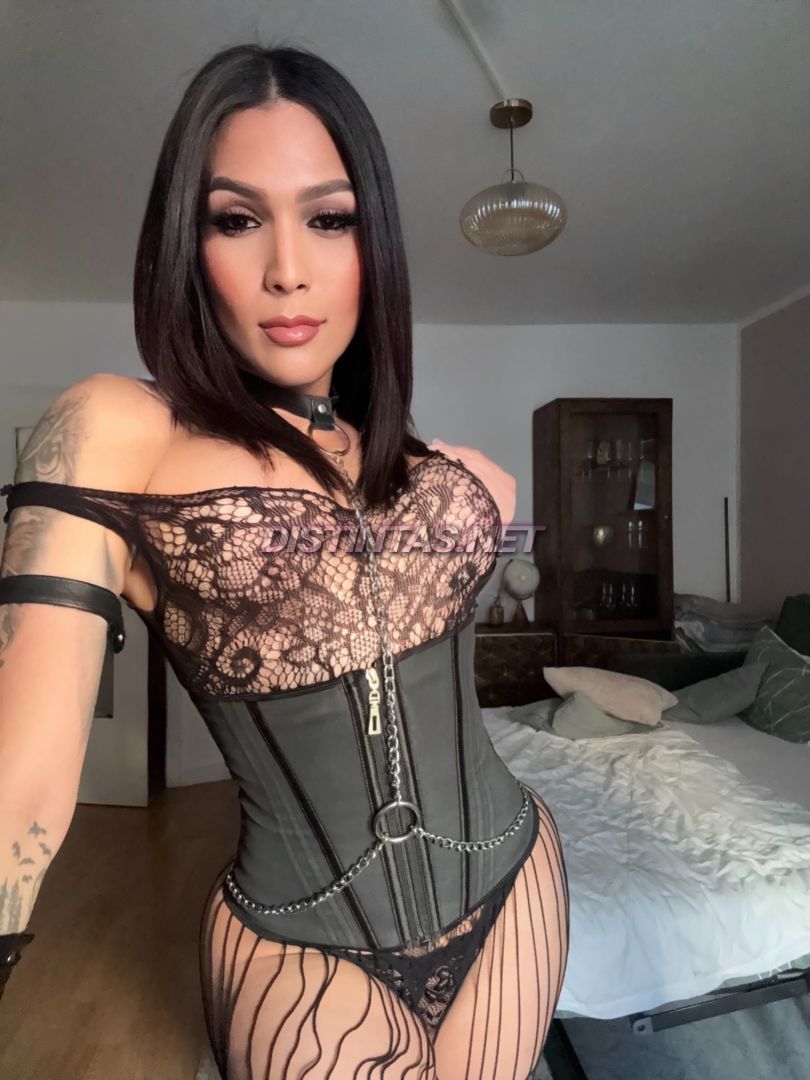  Sofia Fire