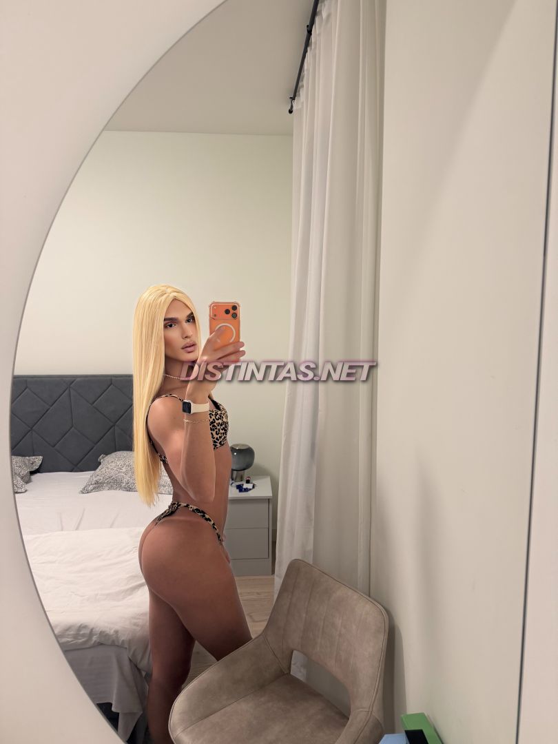 Brenda Monte