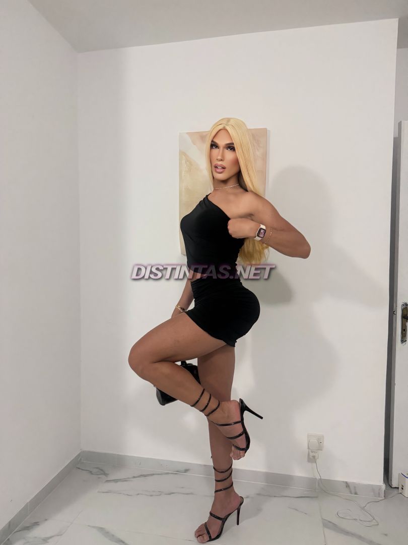 Brenda Monte