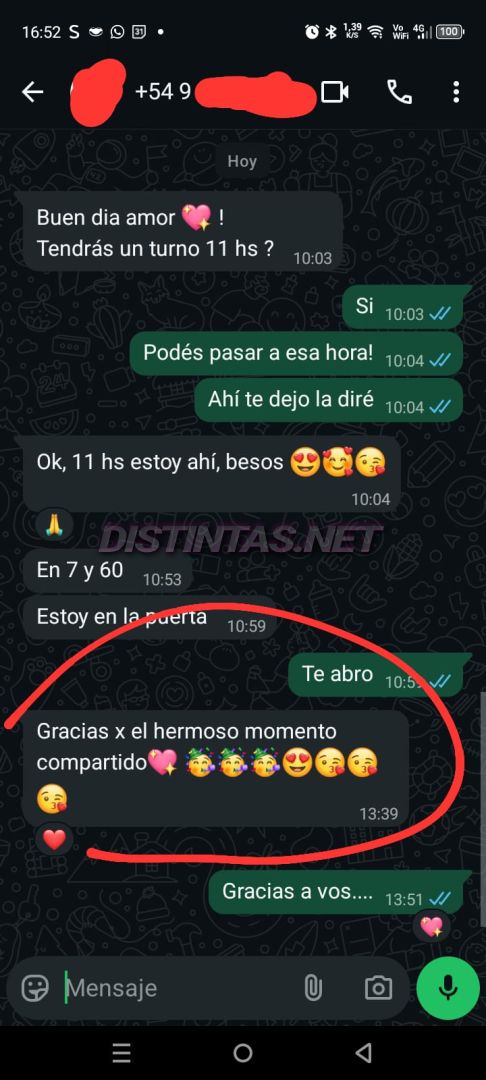 Analu Monteiro