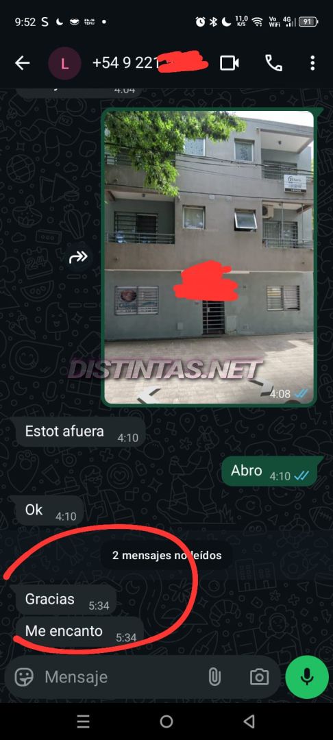 Analu Monteiro