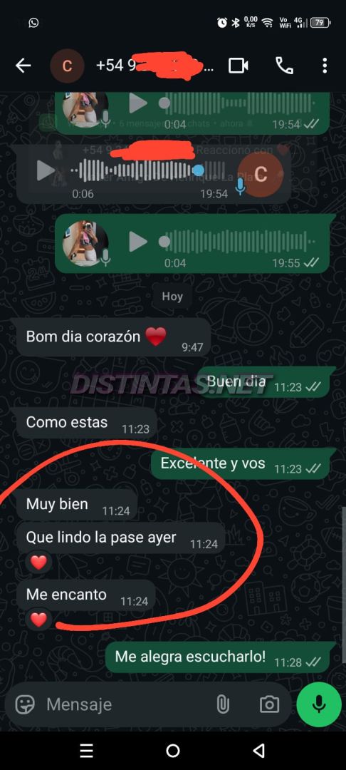 Analu Monteiro