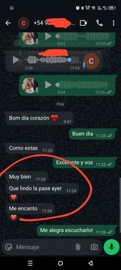 Analu Monteiro