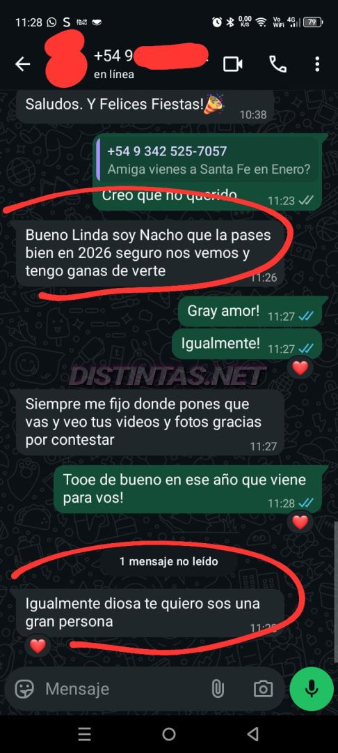 Analu Monteiro