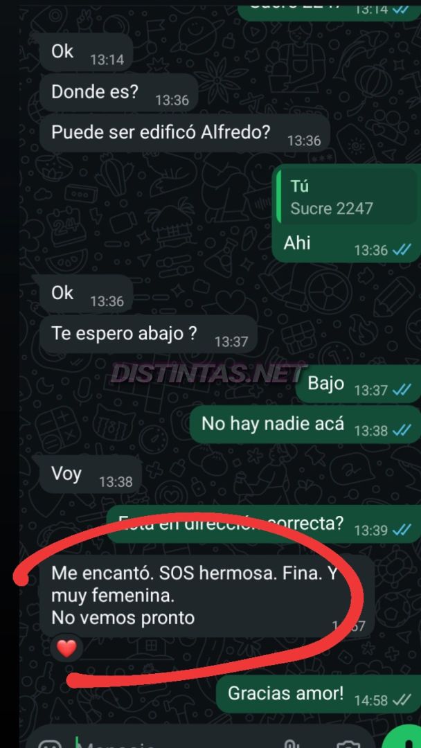 Analu Monteiro