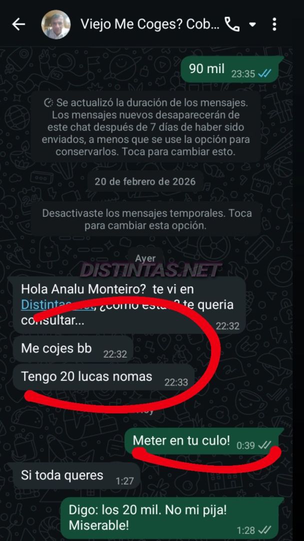 Analu Monteiro