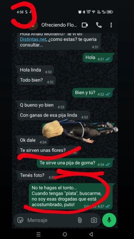 Analu Monteiro