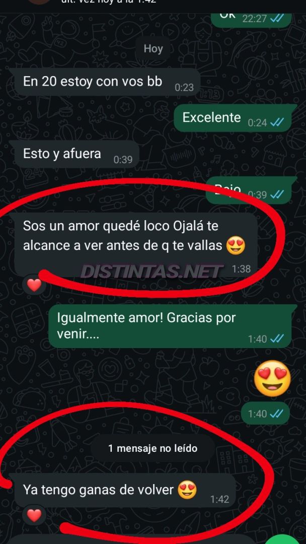 Analu Monteiro