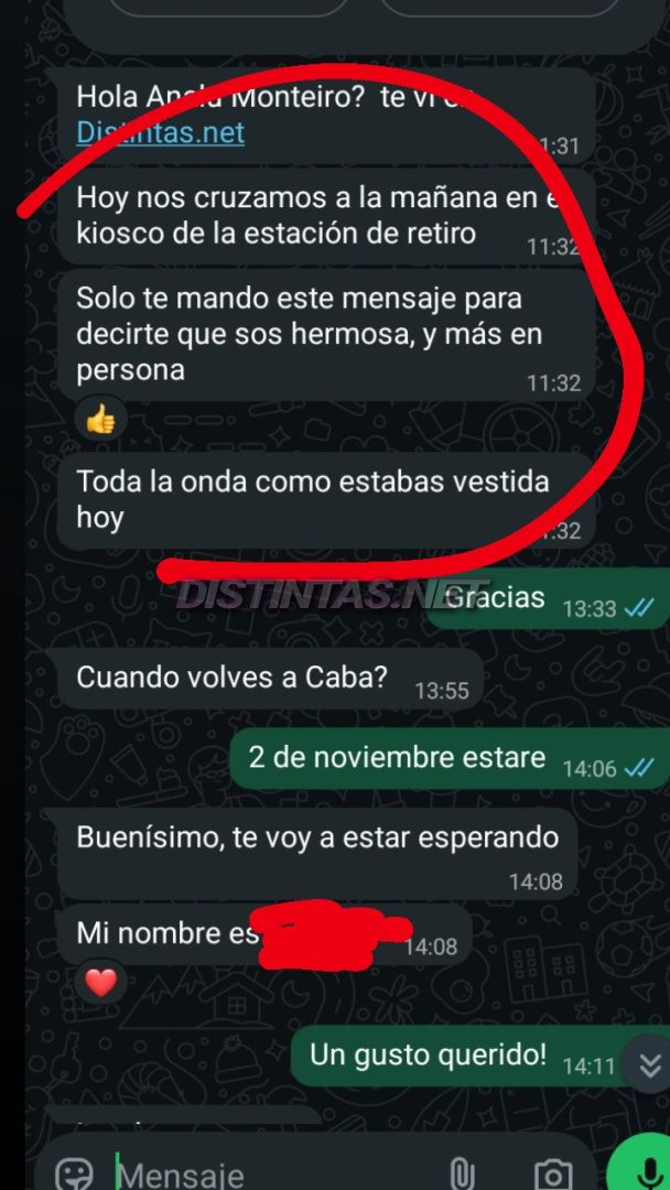 Analu Monteiro