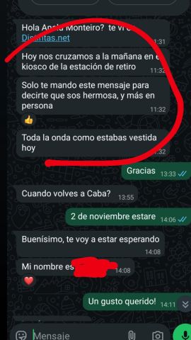 Analu Monteiro