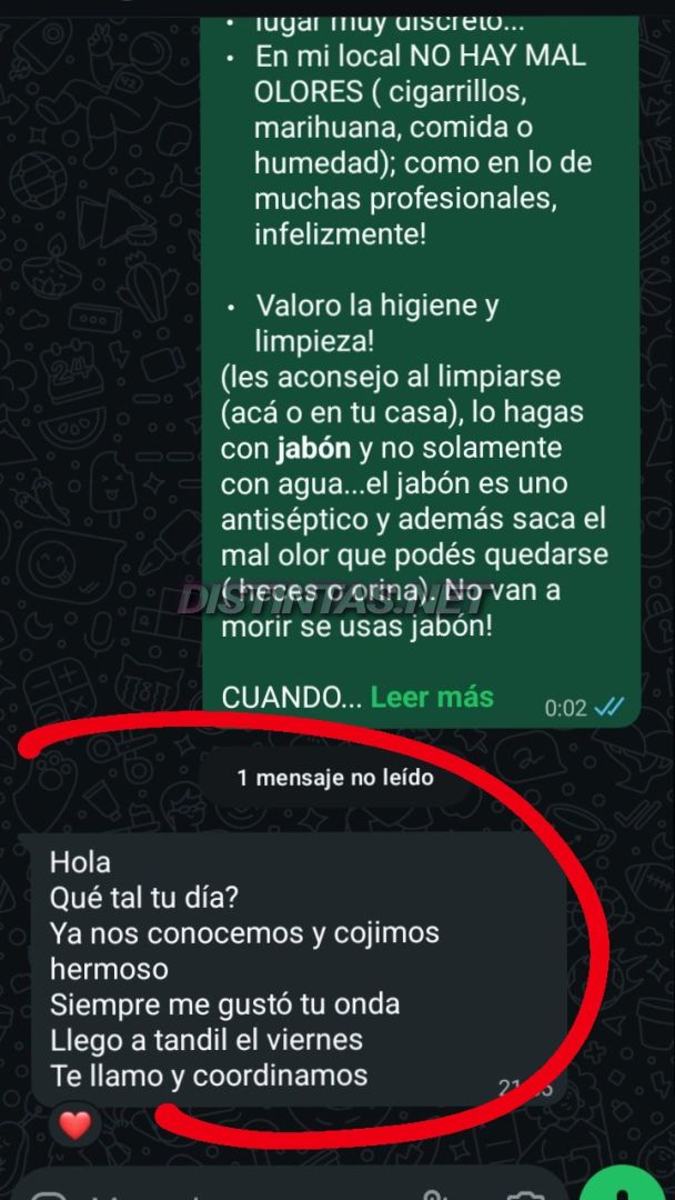 Analu Monteiro