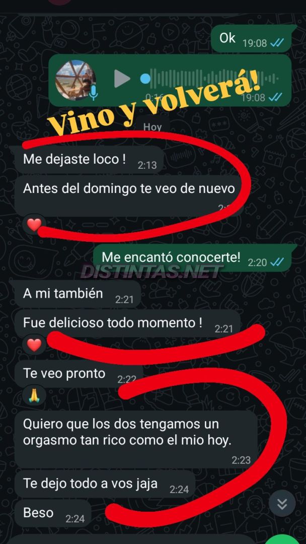 Analu Monteiro
