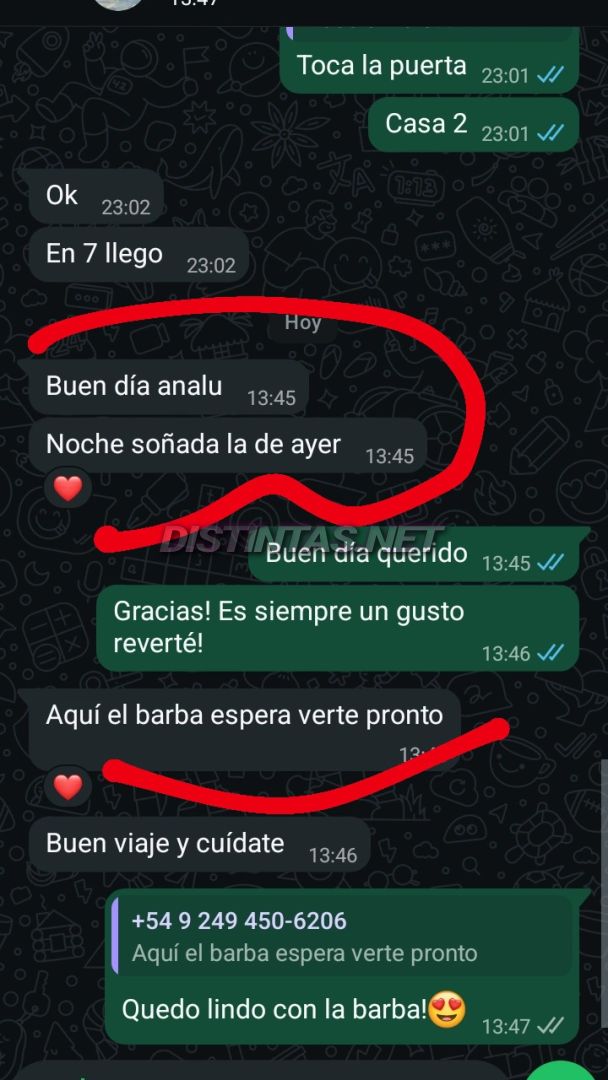 Analu Monteiro