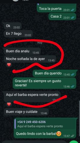 Analu Monteiro