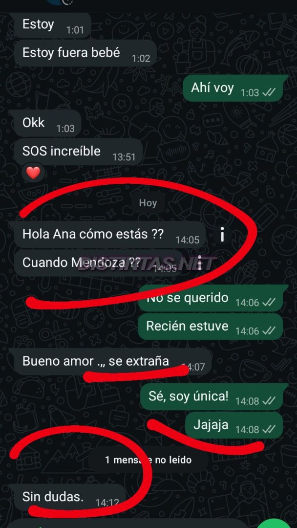 Analu Monteiro