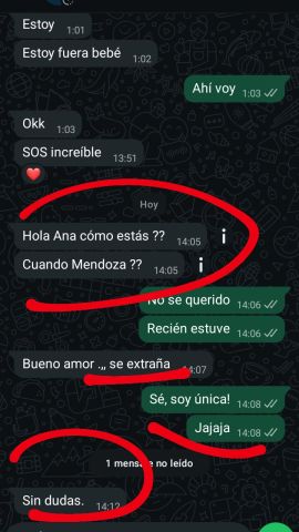 Analu Monteiro