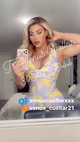 Venus Cuellar
