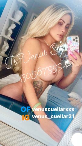 Venus Cuellar