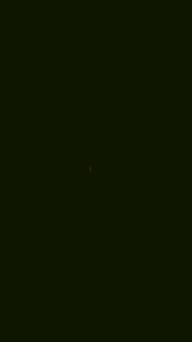 Natti Luna