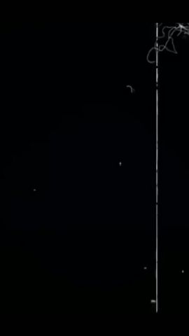 Natti Luna