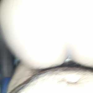 Brissa Ashelem