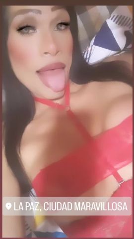 halessia 