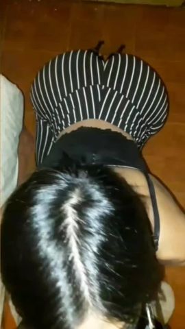 halessia 