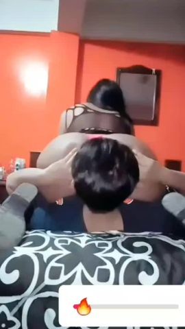 halessia 