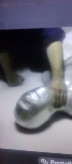Domina Rebeca