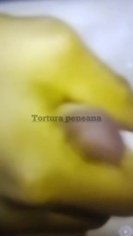 Domina Rebeca